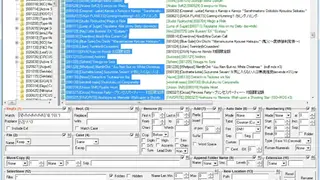 Bulk Rename Utility screenshot