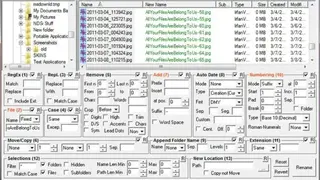 Bulk Rename Utility screenshot