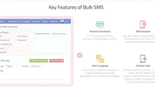 Bulk SMS Services screenshot