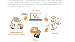 BulkSMS screenshot