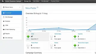 Business Catalyst screenshot