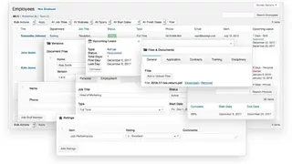 Business Manager – HR, ERP & Projects screenshot
