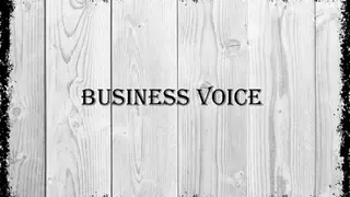 Business Voice screenshot