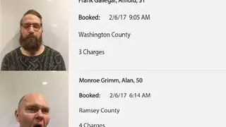 Busted In the USA screenshot