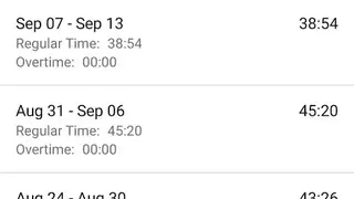 Busybusy screenshot