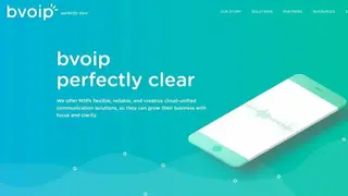 BVoIP screenshot