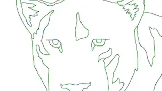 c screenshot