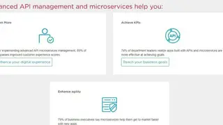 CA API Management screenshot