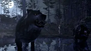 Cabela’s Dangerous Hunts 2011 screenshot