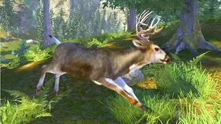 Cabela’s Trophy Bucks screenshot