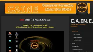 CAINE screenshot