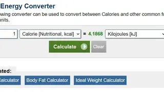 Calorie Calculator screenshot