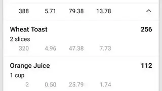Calorie Counter by Fast Secret screenshot
