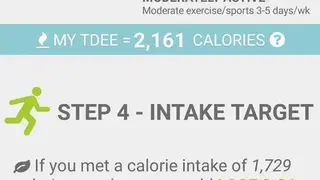 Calories Intake Calculator screenshot