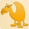 Camel Disc Catalog