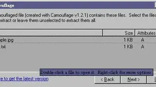 Camouflage screenshot