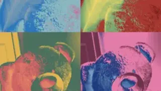 CamWow – Camera booth effects! screenshot