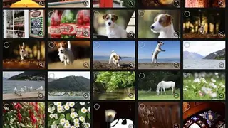 Canon Camera Connect screenshot