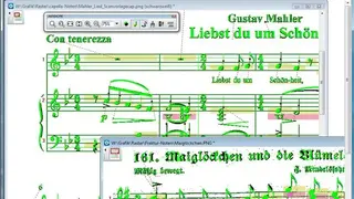 Capella-scan screenshot