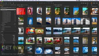 Capture One Pro screenshot