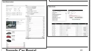 Car Rental Solutions screenshot