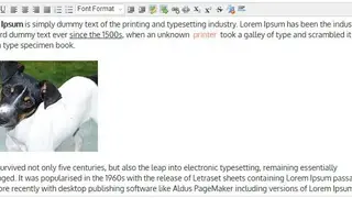 CarbonCopy screenshot