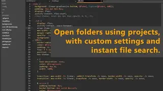 Caret Editor screenshot