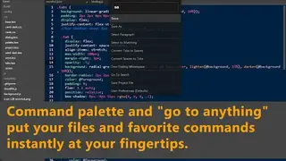 Caret Editor screenshot