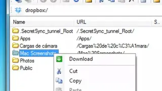 CarotDAV screenshot
