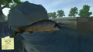 Carp Fishing Simulator screenshot