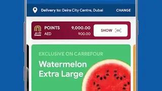 CarreFour screenshot