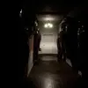 CASE 2: Animatronics Survival