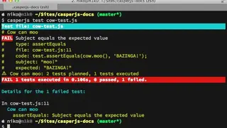CasperJS screenshot
