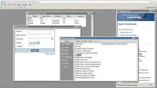 Caspio Bridge screenshot