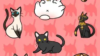 Cat Condo screenshot