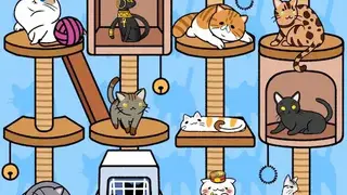 Cat Condo screenshot