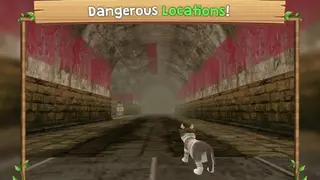 Cat Sim Online: Play with Cats screenshot