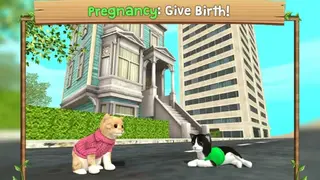 Cat Sim Online: Play with Cats screenshot