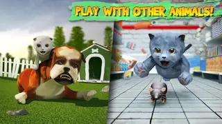 Cat Simulator screenshot