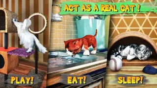Cat Simulator screenshot