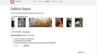 CatBlock screenshot