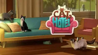 CatHotel – Hotel for cute cats screenshot