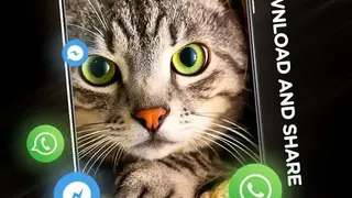 Cats in 4K screenshot