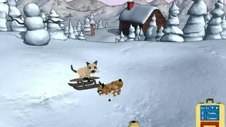 Catz 5 screenshot