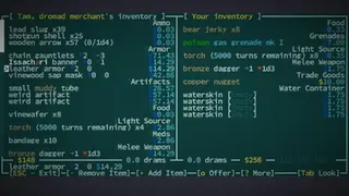 Caves of Qud screenshot