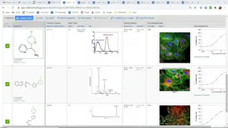 CDD Vault screenshot