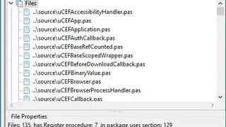 CEF4Delphi screenshot