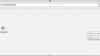 CEF4Delphi screenshot