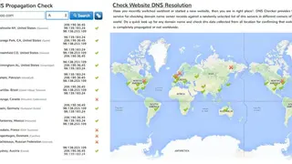 Ceipam DNS Lookup screenshot