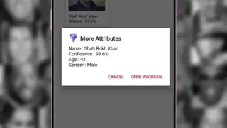 Celebrity Face Detector screenshot